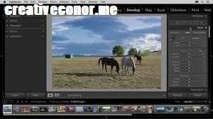 Adobe Lightroom Classic