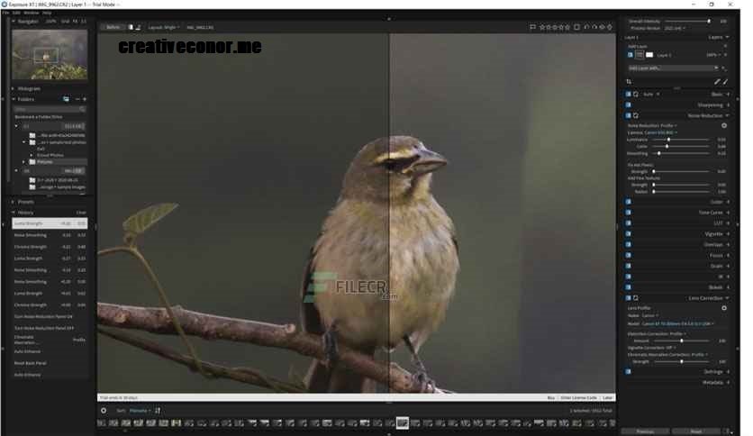 Exposure X7 Bundle