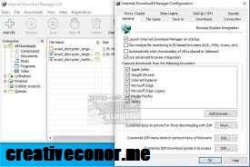 Internet Download Manager 