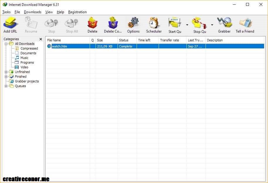 Internet Download Manager 