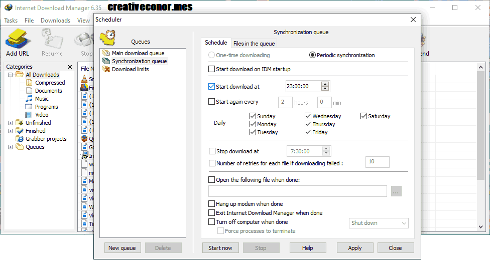 Internet Download Manager 