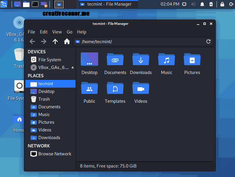 Kali Linux 