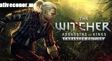 The Witcher 2: Assassins of Kings