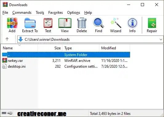 WinRAR Professional