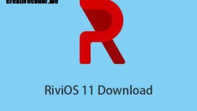 Windows 11 ReviOS