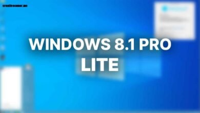 Windows 8.1 Lite